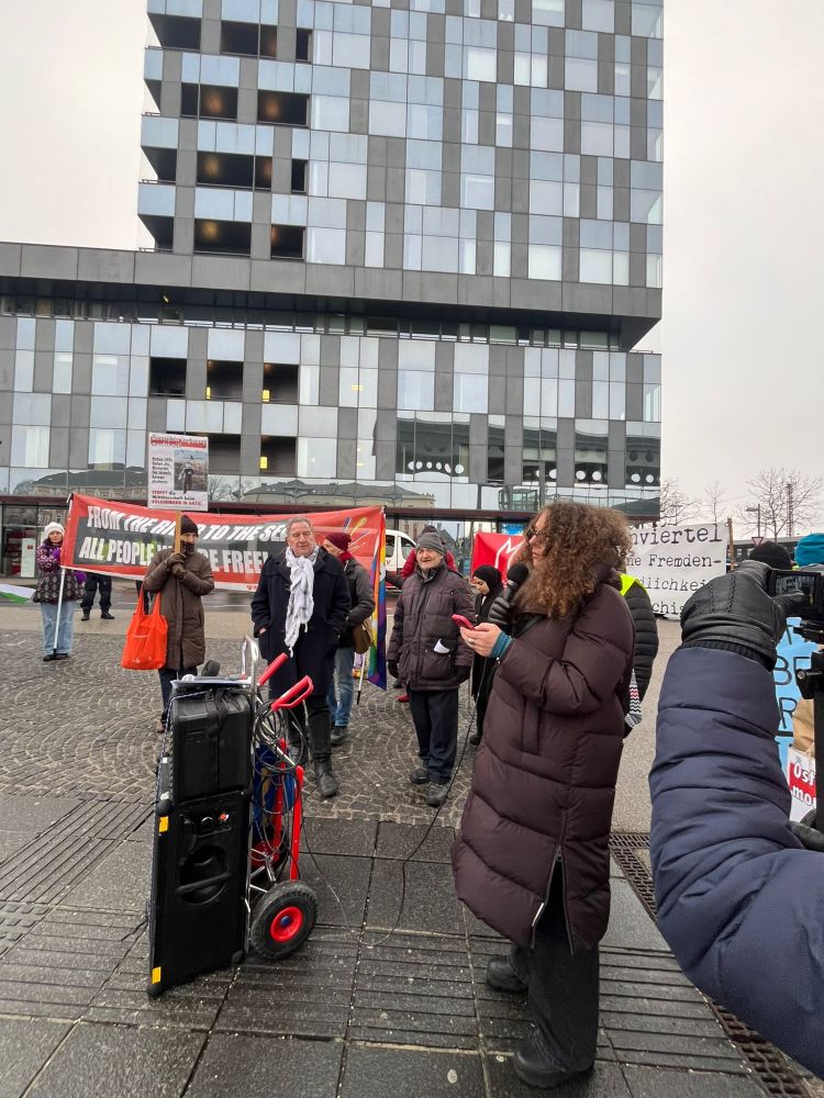 Dalia Sarig, Jüdisch Antizionistische Initiative