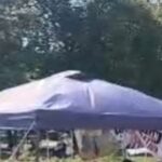 Attacke mit Schlagstock gegen Aktivisten im Protestcamp im Votivpark für Dr Abu Safiyah 04_08_2026