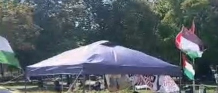 Attacke mit Schlagstock gegen Aktivisten im Protestcamp im Votivpark für Dr Abu Safiyah 04_08_2026
