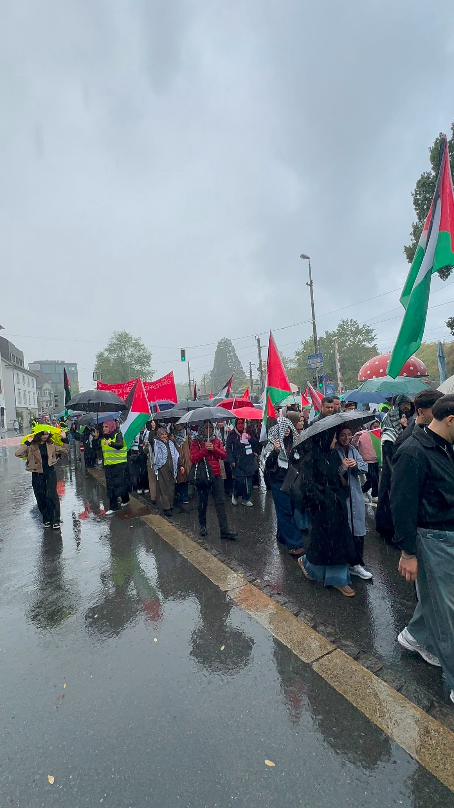 Bericht Palästina-Demo am 10.10.26 in Bregenz